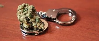 Cogollo de cannabis apoyado sobre una de las anillas de unas esposas metálicas en una superficie rojiza. Cogollo de cannabis apoyado sobre una de las anillas de unas esposas metálicas en una superficie rojiza.
