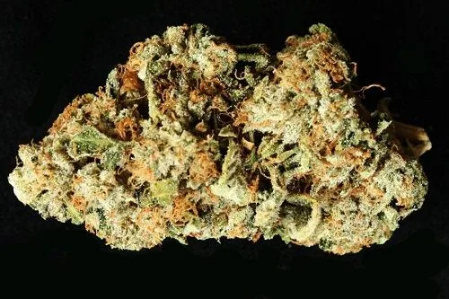Primer plano de un cogollo seco de cannabis, de contorno irregular, con zonas verdes y filamentos anaranjados sobre fondo negro.