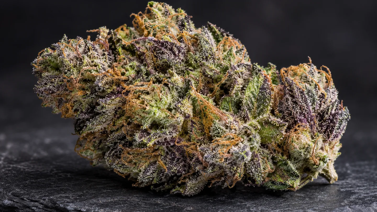 Cogollo denso de cannabis con tonos morados y verdes, pistilos anaranjados y una capa de resina blanca sobre pizarra oscura