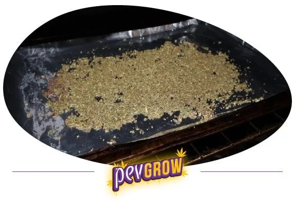 Bandeja oscura con material vegetal desmenuzado extendido sobre su superficie, situada en el interior de un horno.