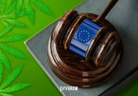 Mazo judicial con la bandera de la Unión Europea sobre una base de madera, junto a hojas de cannabis sobre fondo verde. Mazo judicial con la bandera de la Unión Europea sobre una base de madera, junto a hojas de cannabis sobre fondo verde.