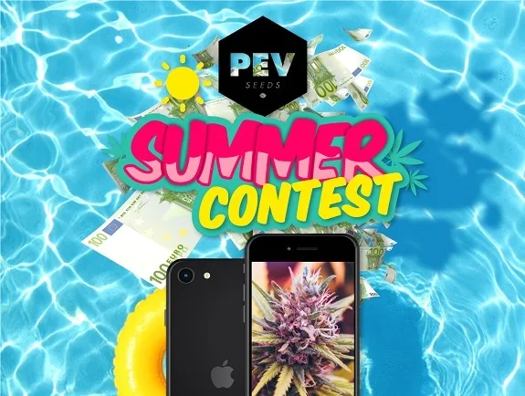 Cartel de PEV Seeds con el texto «Summer Contest», billetes de euro y dos móviles sobre un fondo de piscina.
