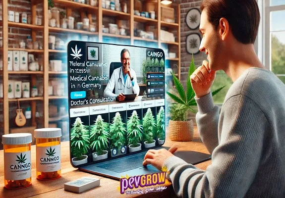 Escena ilustrada de un hombre ante un portátil con un médico y plantas de cannabis en pantalla, junto a dos frascos etiquetados CannGo.