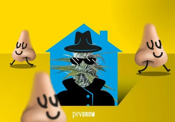 Montaje de un cogollo con sombrero, gafas oscuras y abrigo dentro de una casa azul, rodeado de narices con piernas sobre fondo amarillo.
