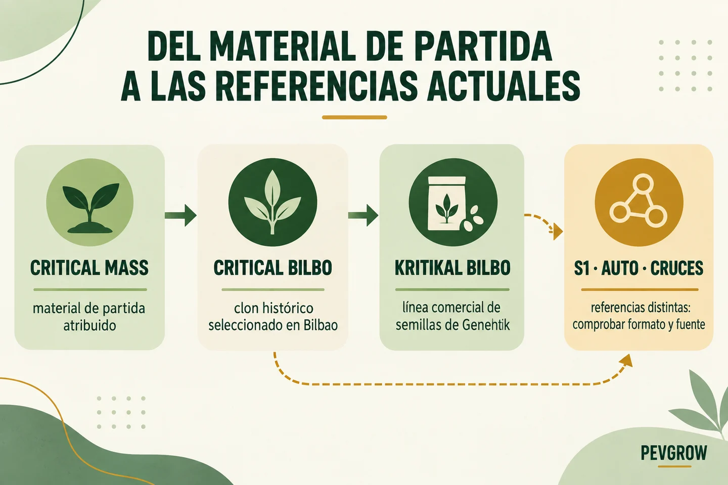Infografía con flechas entre Critical Mass, el clon Critical Bilbo, las semillas Kritikal Bilbo y las referencias S1, auto y cruces.