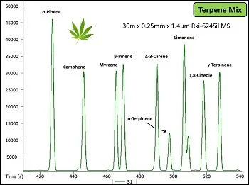 Cromatograma «Terpene Mix» con picos verdes identificados por nombres de terpenos y un eje horizontal de tiempo en segundos. Cromatograma «Terpene Mix» con picos verdes identificados por nombres de terpenos y un eje horizontal de tiempo en segundos.
