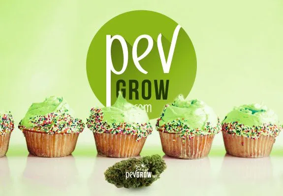 Cupcakes con cobertura verde y bolitas multicolores ante un logotipo de PevGrow, con un cogollo en primer plano. Cupcakes con cobertura verde y bolitas multicolores ante un logotipo de PevGrow, con un cogollo en primer plano.