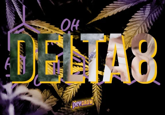 Portada con el texto grande «DELTA8», hojas de cannabis en tonos verdes y morados y trazos de una estructura química al fondo. Portada con el texto grande «DELTA8», hojas de cannabis en tonos verdes y morados y trazos de una estructura química al fondo.
