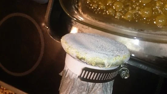 Primer plano de un tubo con abrazadera metálica y una cubierta circular blanquecina, junto a un recipiente con contenido amarillento. Primer plano de un tubo con abrazadera metálica y una cubierta circular blanquecina, junto a un recipiente con contenido amarillento.