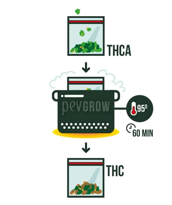 Esquema de una bolsa con cannabis que pasa de THCA a THC tras un baño maría, con indicaciones de 95° y 60 minutos.