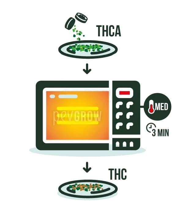 Esquema de cannabis triturado en un plato que pasa por un microondas, con potencia media y 3 minutos indicados.