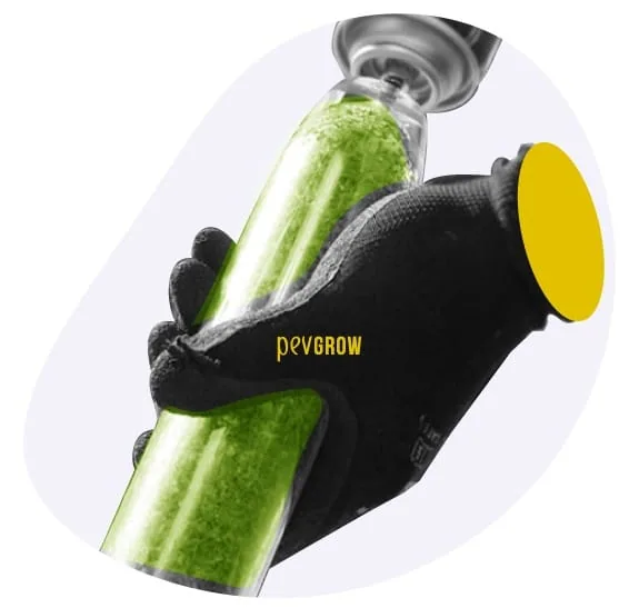 Mano con guante negro que sostiene un tubo transparente inclinado, lleno de material vegetal verde, con una pieza metálica arriba. Mano con guante negro que sostiene un tubo transparente inclinado, lleno de material vegetal verde, con una pieza metálica arriba.