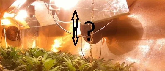 Foco con reflector sobre plantas en un cultivo interior, con flechas verticales y una interrogación que señalan la distancia entre ambos. Foco con reflector sobre plantas en un cultivo interior, con flechas verticales y una interrogación que señalan la distancia entre ambos.