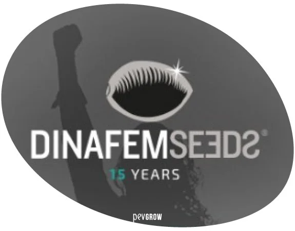 Diseño ovalado gris con el logotipo Dinafem Seeds, el texto «15 YEARS» y una silueta con el puño levantado. Diseño ovalado gris con el logotipo Dinafem Seeds, el texto «15 YEARS» y una silueta con el puño levantado.