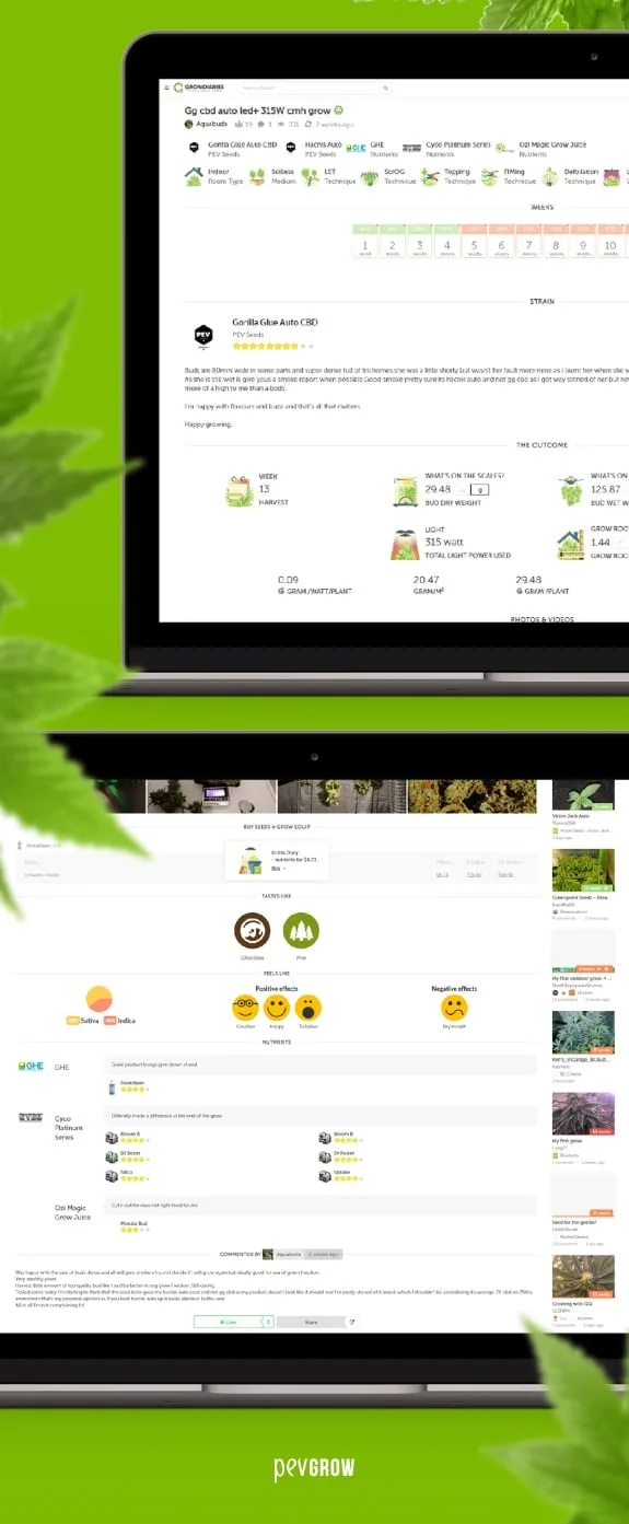 Dos vistas de un diario de cultivo de GrowDiaries en pantallas de ordenador, sobre fondo verde con hojas decorativas.