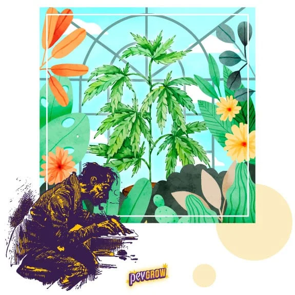Ilustración de una persona inclinada sobre un escrito ante un jardín de cannabis, rodeado de hojas y flores de colores. Ilustración de una persona inclinada sobre un escrito ante un jardín de cannabis, rodeado de hojas y flores de colores.