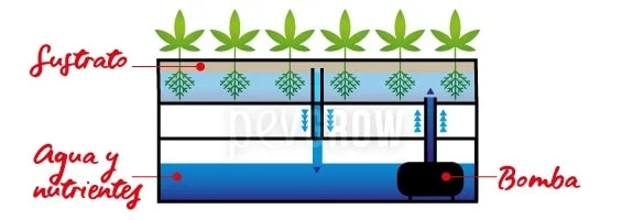 Esquema hidropónico con seis plantas sobre un depósito de agua y nutrientes, una bomba y flechas de circulación. Esquema hidropónico con seis plantas sobre un depósito de agua y nutrientes, una bomba y flechas de circulación.