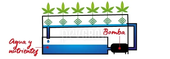 Esquema de seis plantas con raíces en un canal conectado a un depósito de agua y nutrientes y una bomba de recirculación. Esquema de seis plantas con raíces en un canal conectado a un depósito de agua y nutrientes y una bomba de recirculación.