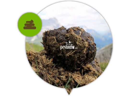 Estiércol con restos vegetales en un recorte circular, con montañas al fondo y un icono verde de excrementos en la esquina superior. Estiércol con restos vegetales en un recorte circular, con montañas al fondo y un icono verde de excrementos en la esquina superior.