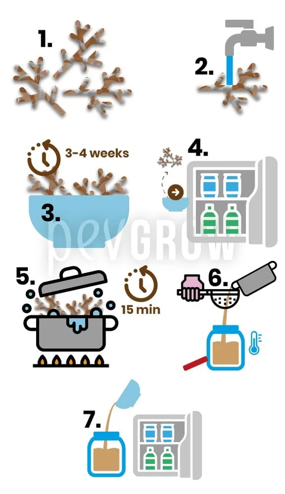Infografía de preparación con corteza de sauce: lavado, reposo, refrigeración, cocción y filtrado del líquido en un tarro. Infografía de preparación con corteza de sauce: lavado, reposo, refrigeración, cocción y filtrado del líquido en un tarro.