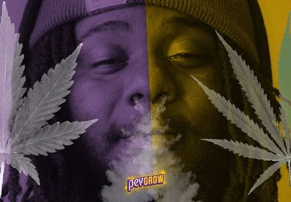 Montaje de un rostro con gorro entre hojas de cannabis y humo, dividido en tonos morados y amarillos, con el logotipo Pevgrow. Montaje de un rostro con gorro entre hojas de cannabis y humo, dividido en tonos morados y amarillos, con el logotipo Pevgrow.
