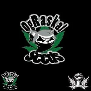 Logotipo de OG Raskal Seeds sobre fondo negro, con un rostro enmascarado, hojas verdes y dos emblemas pequeños en las esquinas inferiores. Logotipo de OG Raskal Seeds sobre fondo negro, con un rostro enmascarado, hojas verdes y dos emblemas pequeños en las esquinas inferiores.