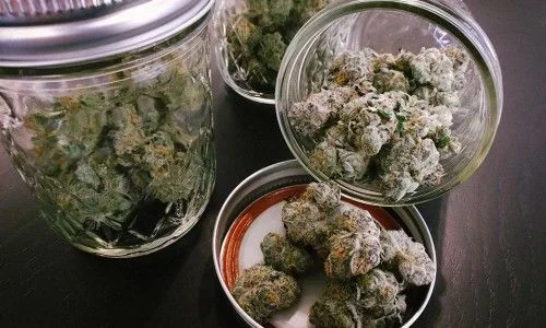 Flores de cannabis en frascos de cristal sobre una superficie oscura, con un tarro inclinado y varios cogollos sobre una tapa.