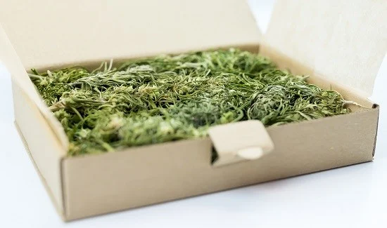 Caja de cartón abierta con flores, hojas estrechas y tallos verdes de cannabis extendidos en su interior. Caja de cartón abierta con flores, hojas estrechas y tallos verdes de cannabis extendidos en su interior.