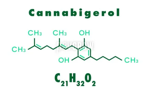 Diagrama de la estructura química del cannabigerol, con grupos CH₃ y OH señalados y fórmula molecular C₂₁H₃₂O₂. Diagrama de la estructura química del cannabigerol, con grupos CH₃ y OH señalados y fórmula molecular C₂₁H₃₂O₂.