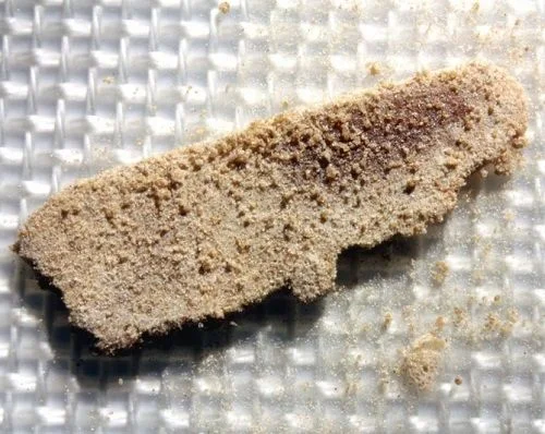 Fragmento de hachís sobre una superficie de tamizado