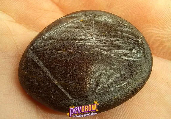 Pieza redondeada y aplanada de hachís oscuro sobre la palma de una mano, con pliegues y marcas en la superficie. Pieza redondeada y aplanada de hachís oscuro sobre la palma de una mano, con pliegues y marcas en la superficie.