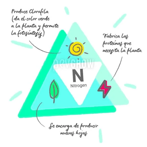 Infografía triangular sobre el nitrógeno, con una N central y dibujos de un sol, una hoja y un rayo que acompañan sus funciones. Infografía triangular sobre el nitrógeno, con una N central y dibujos de un sol, una hoja y un rayo que acompañan sus funciones.