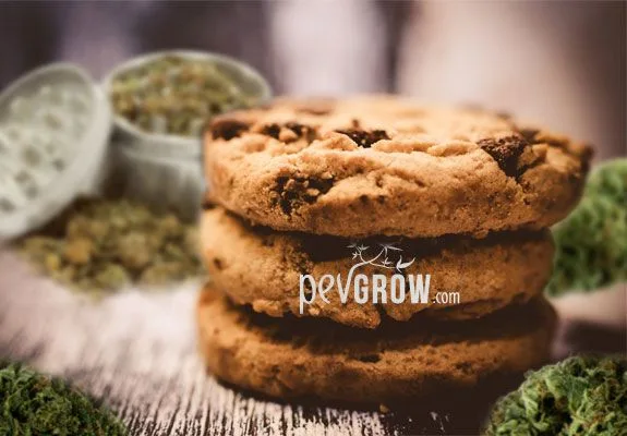 Tres galletas con trozos de chocolate apiladas sobre una mesa, junto a un molinillo abierto y cogollos, con el logotipo de Pevgrow.