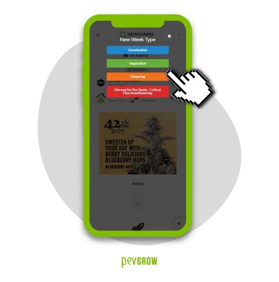 Pantalla de GrowDiaries en un móvil verde con un menú de fases del cultivo y un cursor junto a la opción de floración.