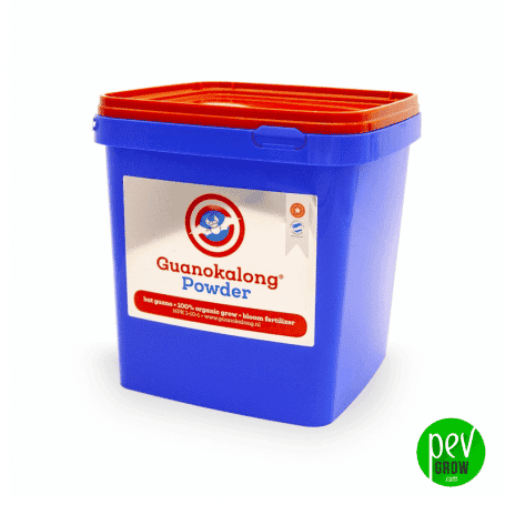 Recipiente azul con tapa roja y etiqueta «Guanokalong Powder», sobre fondo blanco con el logotipo verde de Pevgrow en una esquina. Recipiente azul con tapa roja y etiqueta «Guanokalong Powder», sobre fondo blanco con el logotipo verde de Pevgrow en una esquina.
