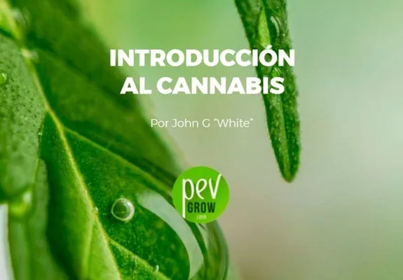 Portada verde con hojas en primer plano, el título «Introducción al cannabis», la firma de John G “White” y el logotipo Pevgrow. Portada verde con hojas en primer plano, el título «Introducción al cannabis», la firma de John G “White” y el logotipo Pevgrow.