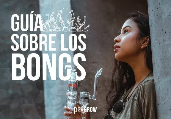 Portada «Guía sobre los bongs», con dibujos de varios modelos y una mujer que sostiene un bong de vidrio junto a una pared.