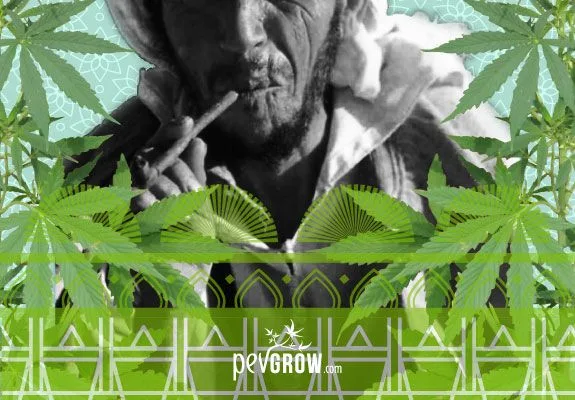 Montaje con un hombre en blanco y negro que sostiene una pipa junto a la boca, rodeado de hojas de cannabis y motivos geométricos verdes.