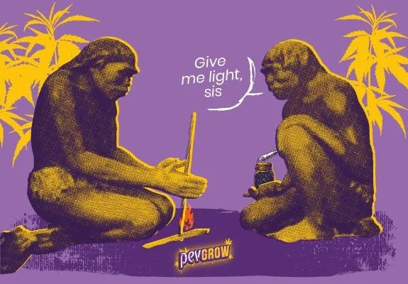 Ilustración amarilla y morada de dos figuras de aspecto prehistórico junto a una llama, con siluetas de cannabis y un bocadillo en inglés. Ilustración amarilla y morada de dos figuras de aspecto prehistórico junto a una llama, con siluetas de cannabis y un bocadillo en inglés.