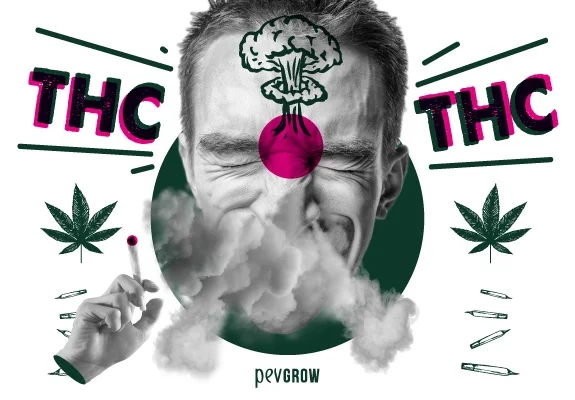Montaje de un hombre con los ojos cerrados entre humo, un cigarrillo en la mano y dibujos de hojas de cannabis, una explosión y letras THC. Montaje de un hombre con los ojos cerrados entre humo, un cigarrillo en la mano y dibujos de hojas de cannabis, una explosión y letras THC.