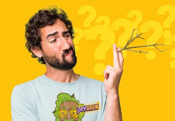 Hombre con barba observa una pequeña rama sin hojas que sostiene entre los dedos, sobre fondo amarillo con signos de interrogación. Hombre con barba observa una pequeña rama sin hojas que sostiene entre los dedos, sobre fondo amarillo con signos de interrogación.