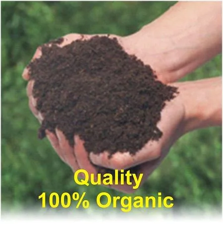 Dos manos ahuecadas sostienen material oscuro y terroso ante un fondo verde, con el texto «Quality 100% Organic». Dos manos ahuecadas sostienen material oscuro y terroso ante un fondo verde, con el texto «Quality 100% Organic».