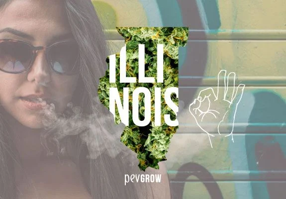 Montaje de una persona con gafas oscuras y humo, la silueta de Illinois rellena de cogollos y un dibujo de una mano haciendo el gesto de OK.