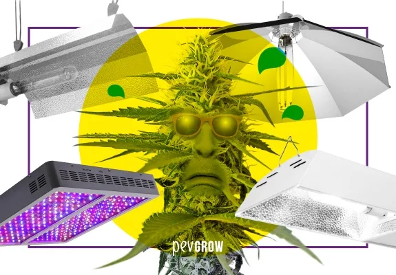 Montaje de una planta de cannabis con rostro y gafas de sol, rodeada de lámparas y reflectores de cultivo sobre un círculo amarillo. Montaje de una planta de cannabis con rostro y gafas de sol, rodeada de lámparas y reflectores de cultivo sobre un círculo amarillo.