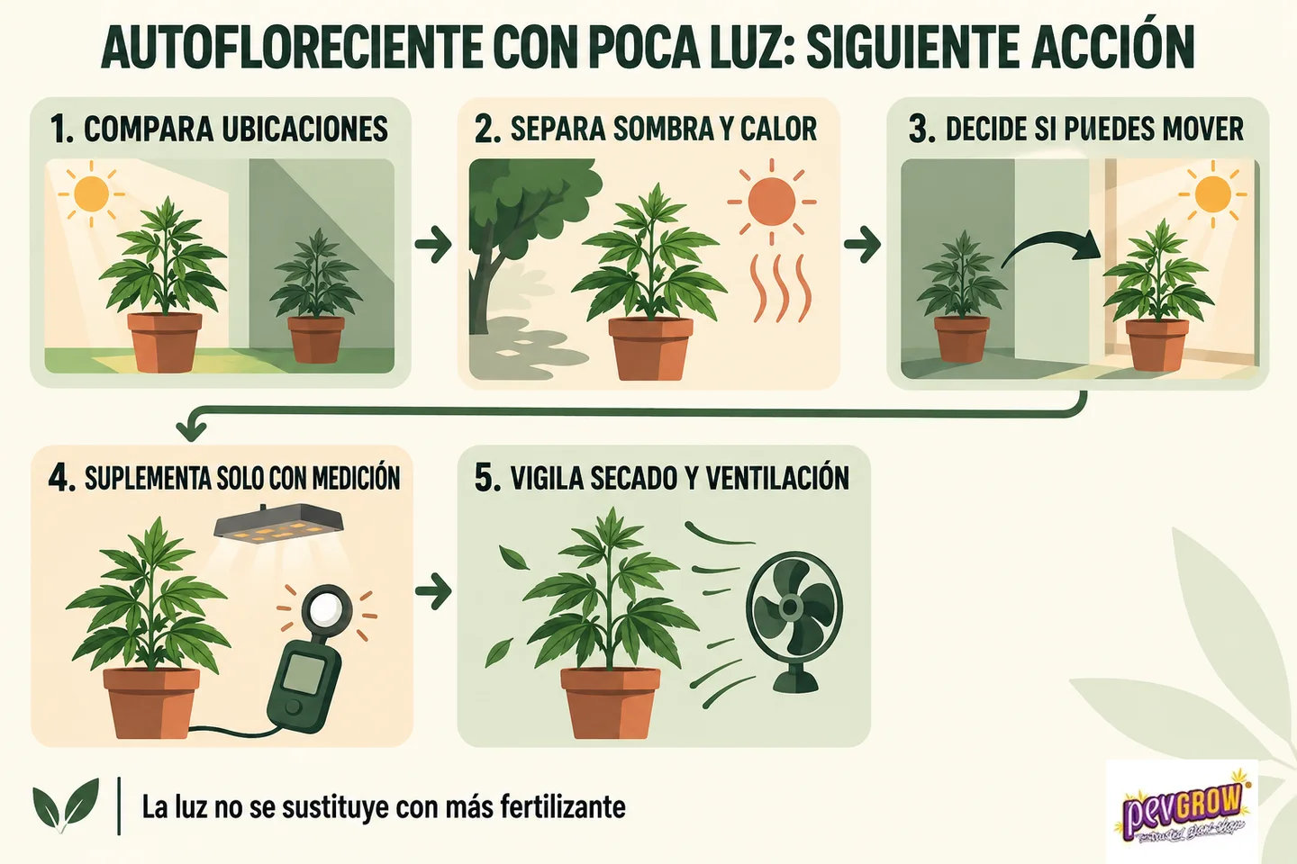 Infografía sobre autoflorecientes con poca luz: compara ubicaciones, distingue sombra y calor y muestra medición de luz y ventilación. Infografía sobre autoflorecientes con poca luz: compara ubicaciones, distingue sombra y calor y muestra medición de luz y ventilación.