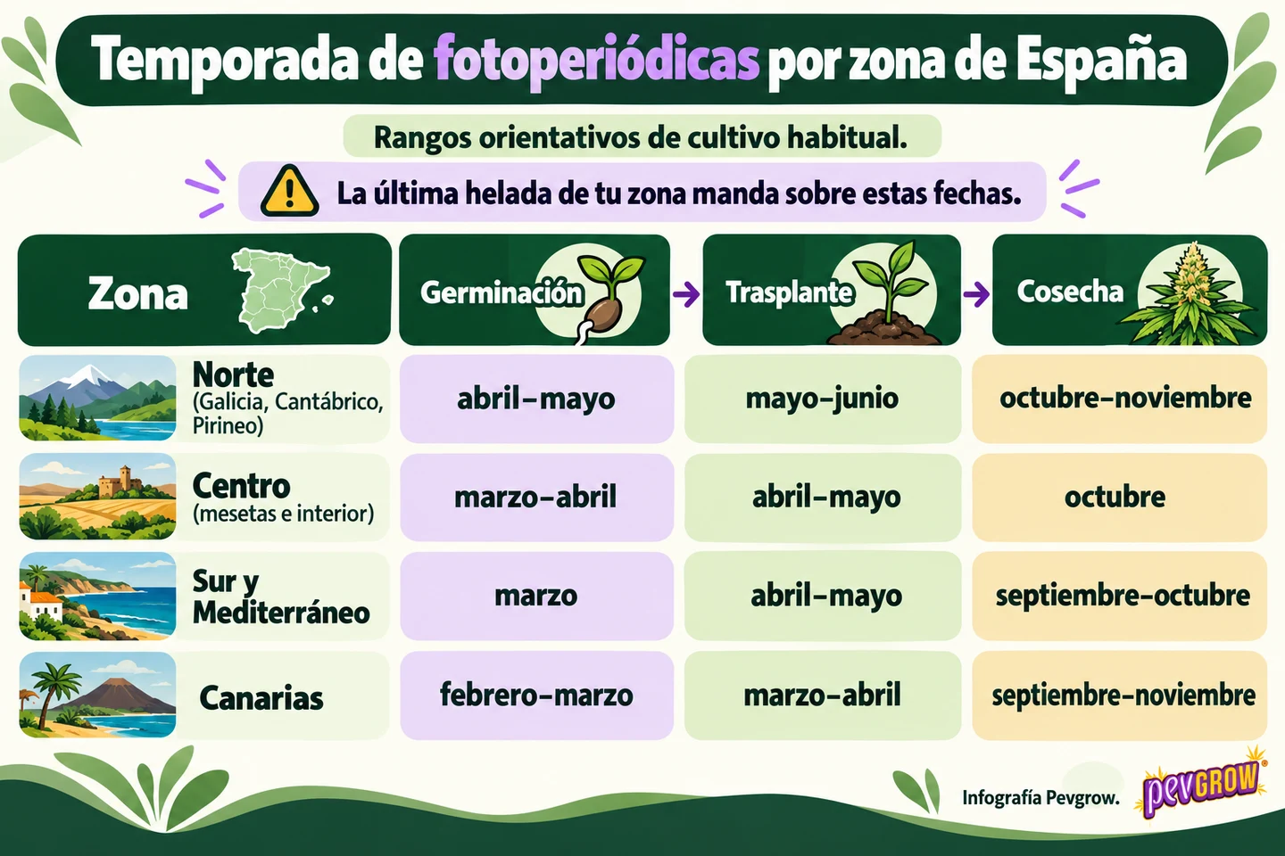 Infografía que relaciona cada zona de España con los meses orientativos de germinación, trasplante y cosecha de las fotoperiódicas Infografía que relaciona cada zona de España con los meses orientativos de germinación, trasplante y cosecha de las fotoperiódicas
