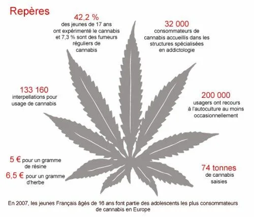 Infografía histórica con indicadores del cannabis en Francia en 2007