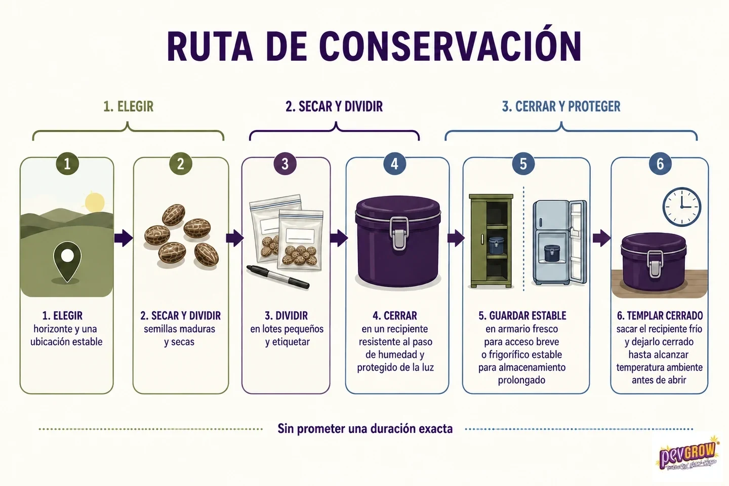 Infografía con seis pasos para conservar semillas: elegir ubicación, secar, dividir, cerrar, almacenar y templar antes de abrir.