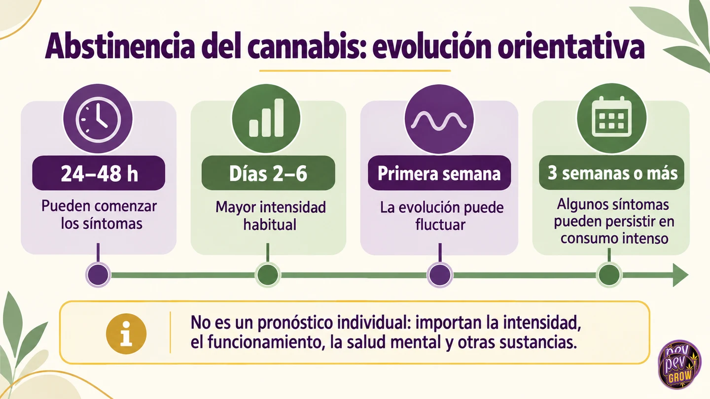 Cronología orientativa de la abstinencia del cannabis, desde las primeras 24–48 horas hasta la posible persistencia de síntomas semanas después. Cronología orientativa de la abstinencia del cannabis, desde las primeras 24–48 horas hasta la posible persistencia de síntomas semanas después.