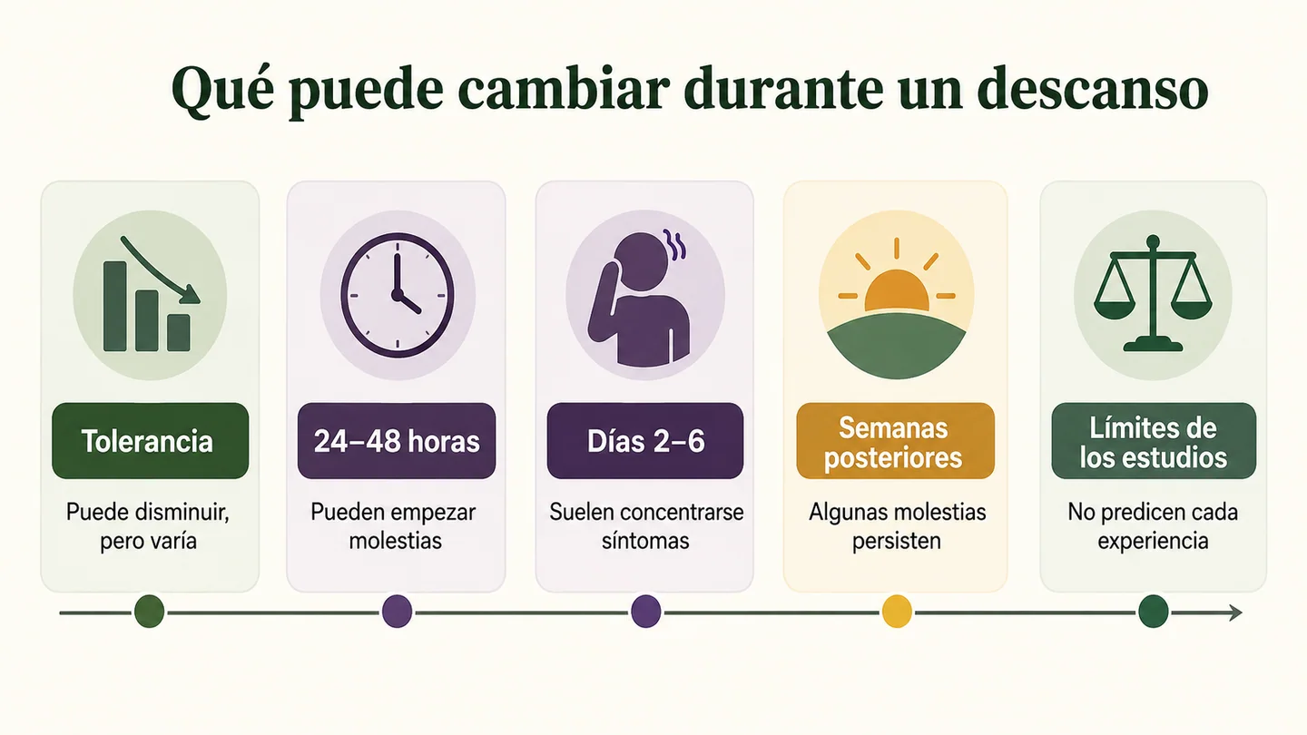 Infografía sobre cambios durante un descanso del cannabis, con tolerancia, molestias a las 24–48 horas, días 2–6 y semanas posteriores.